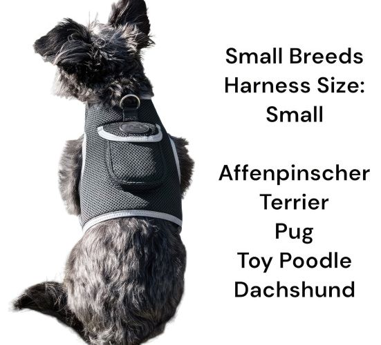 NEW Portable Cat Tracker GPS Waterproof Pet Finder w/ GeoFence Feature Size:L