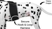 Mini Quad Band GSM GPS GPRS Pet Tracker for Dog & Cat with Phone App Size:L