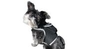 Personal Pocket GPS Pet Tracker GSM GPRS Realtime Tracking Waterproof Size:L