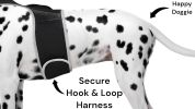 Portable iPhone Pet Tracker Waterproof GPS GSM Locator with Mobile App Size:XS